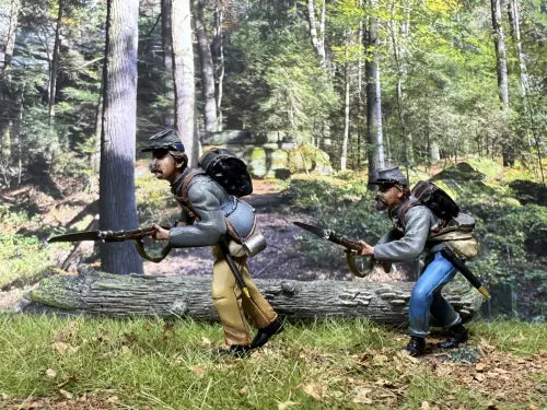 Rebel Steel. Two figures in Civil War uniforms with rifles in a forest setting