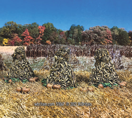 Harvested Corn with Pumpkins