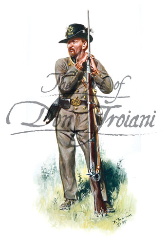 Don Troinai wall art print 6th North Carolina Flat River Guards.