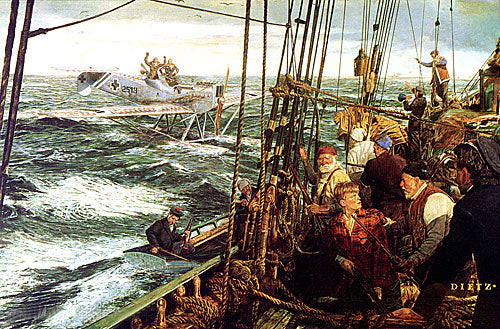 James Dietz wall art print Downed Bird.