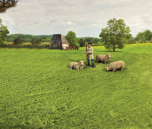 Green field with sheep and 54mm toy soldier figurine.