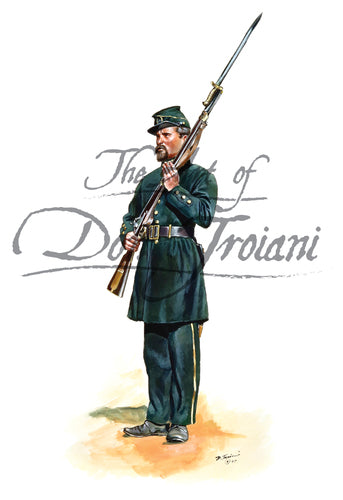 Don Troiani wall art print 5th Georgia Regiment, Clinch Rifles.