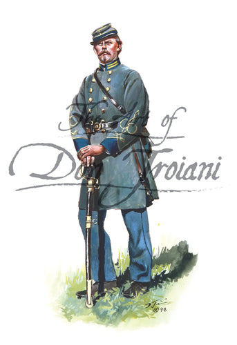Don Troiani wall art print Confederate Infantry Officer. He is leaning on his sword.
