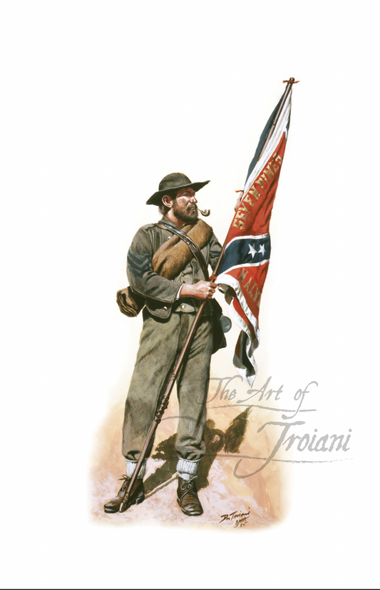 Illustration of a soldier holding a Confederate flag.