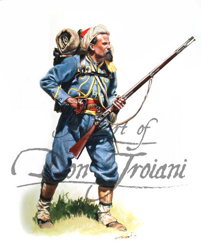 Don Trioani wall art print 146th New York Zouaves. Soldier has a musket.