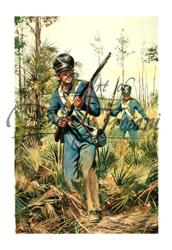 Don Troiani wall art print U.S. Infantry, Seminole Wars, 1838.