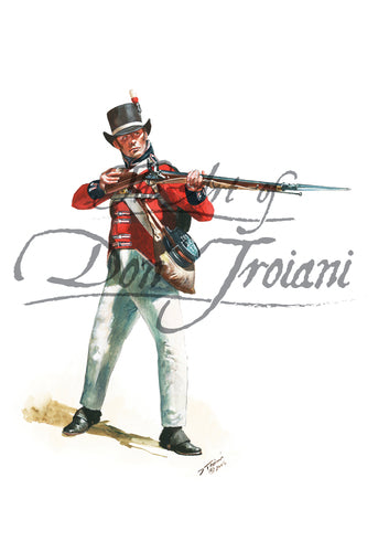 Don Troiani wall art print War of 1812: British Royal Marines, 2nd Battalion.