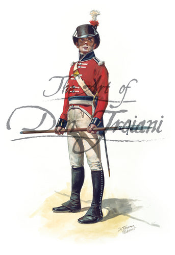 Don Troiani wall art print Royal Marine Sergeant, 1805.