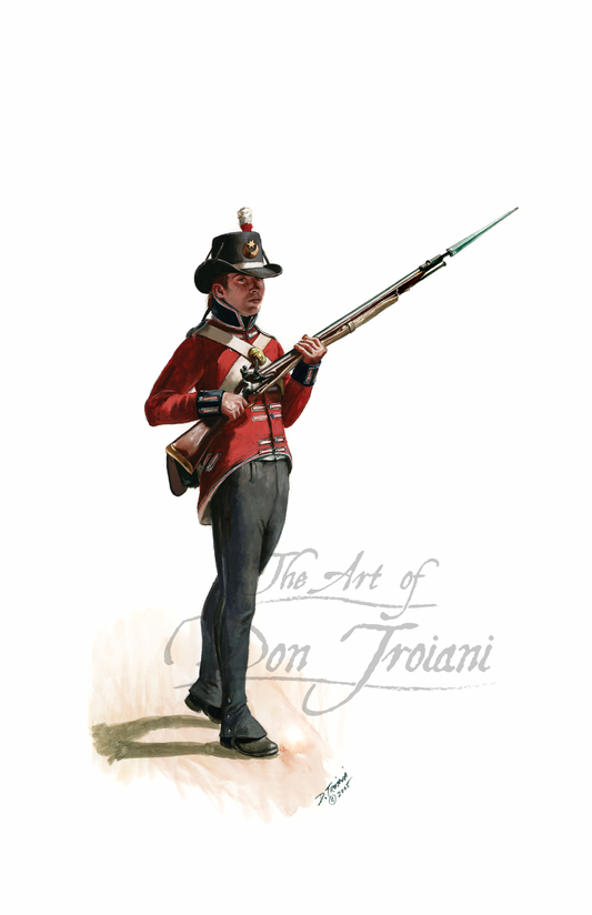 British Royal Marine. Artistic depiction of a soldier in historical uniform holding a rifle on a white background, signed 'The Art of Don Troiani'.