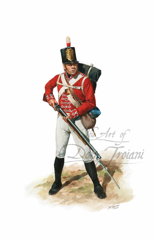 41st Regiment of Foot, British Private, 1812 Painting of a soldier in historical military uniform with a rifle on a white background