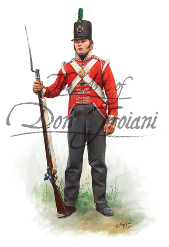Don Troiani wall art print British Private, 43rd Regiment of Foot, 1814-15.