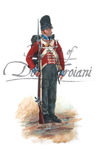 Don Troiani wall art print Regiment de Meuron, 1815