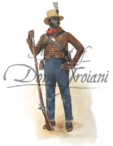 Don Troiani wall art print D'Aquin's Battalion of Free Men of Color 1815.