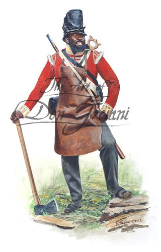 British Pioneer 104th Regiment of Foot
