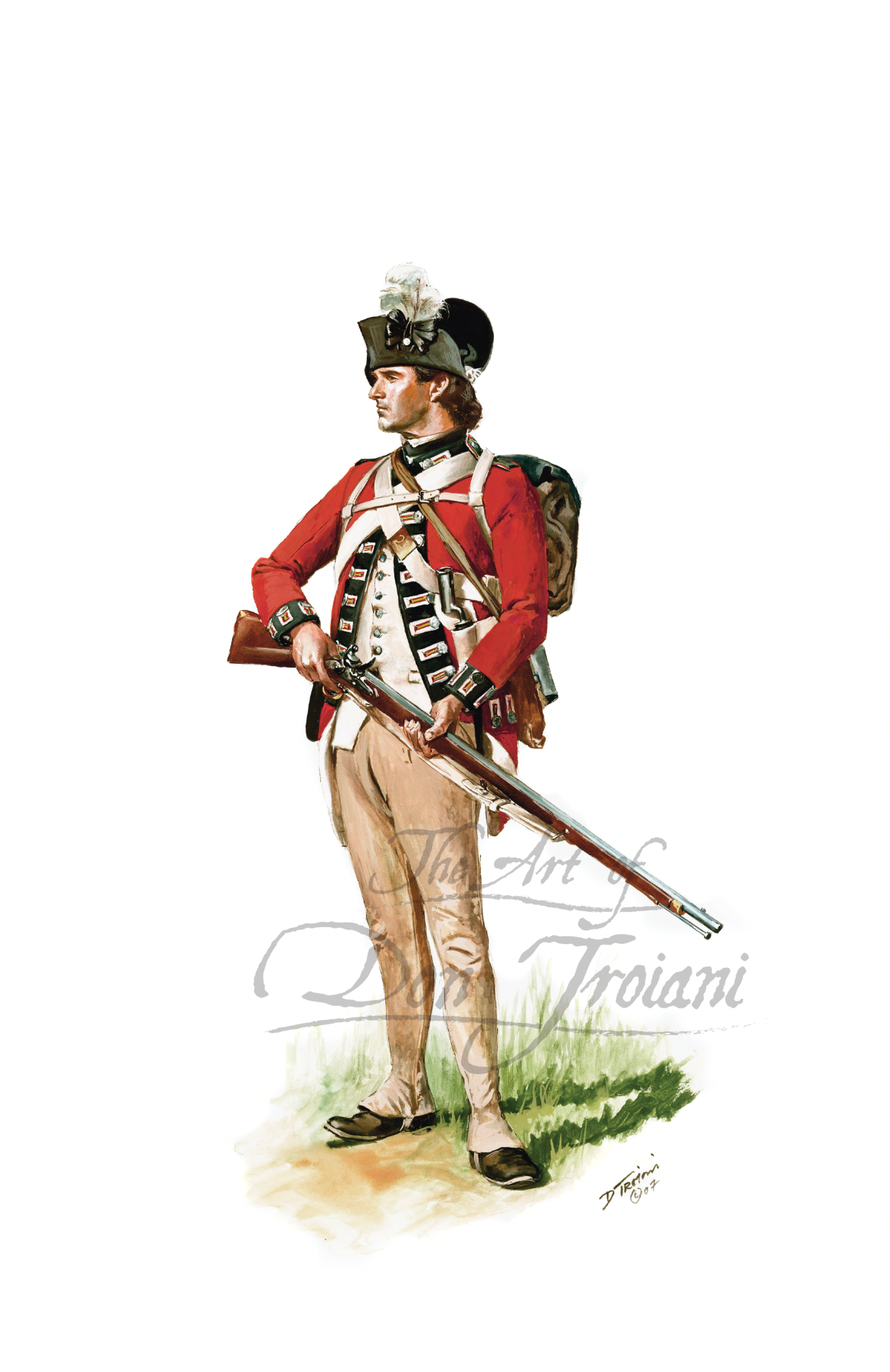 23rd Regiment of Foot Private. Illustration of a soldier in colonial uniform holding a rifle on a white background