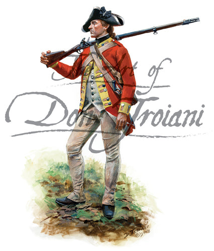 Don Troiani wall art print Webb's Additional Continental Regiment.