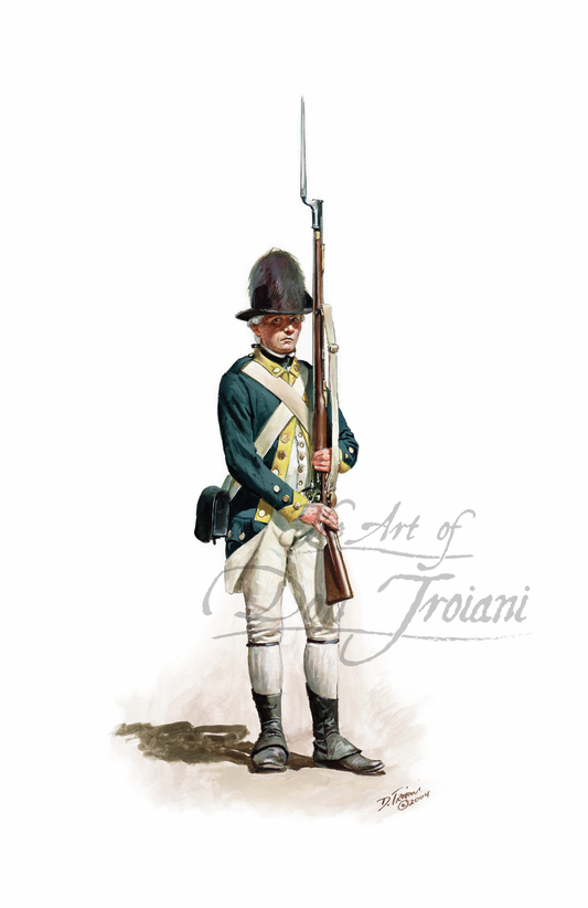 General Washington’s Life Guard. Artistic depiction of a soldier in historical uniform holding a rifle on a white background.