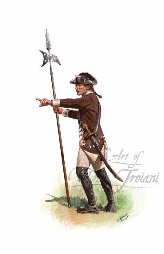 Sergeant Of Greaton's 24th Regiment.