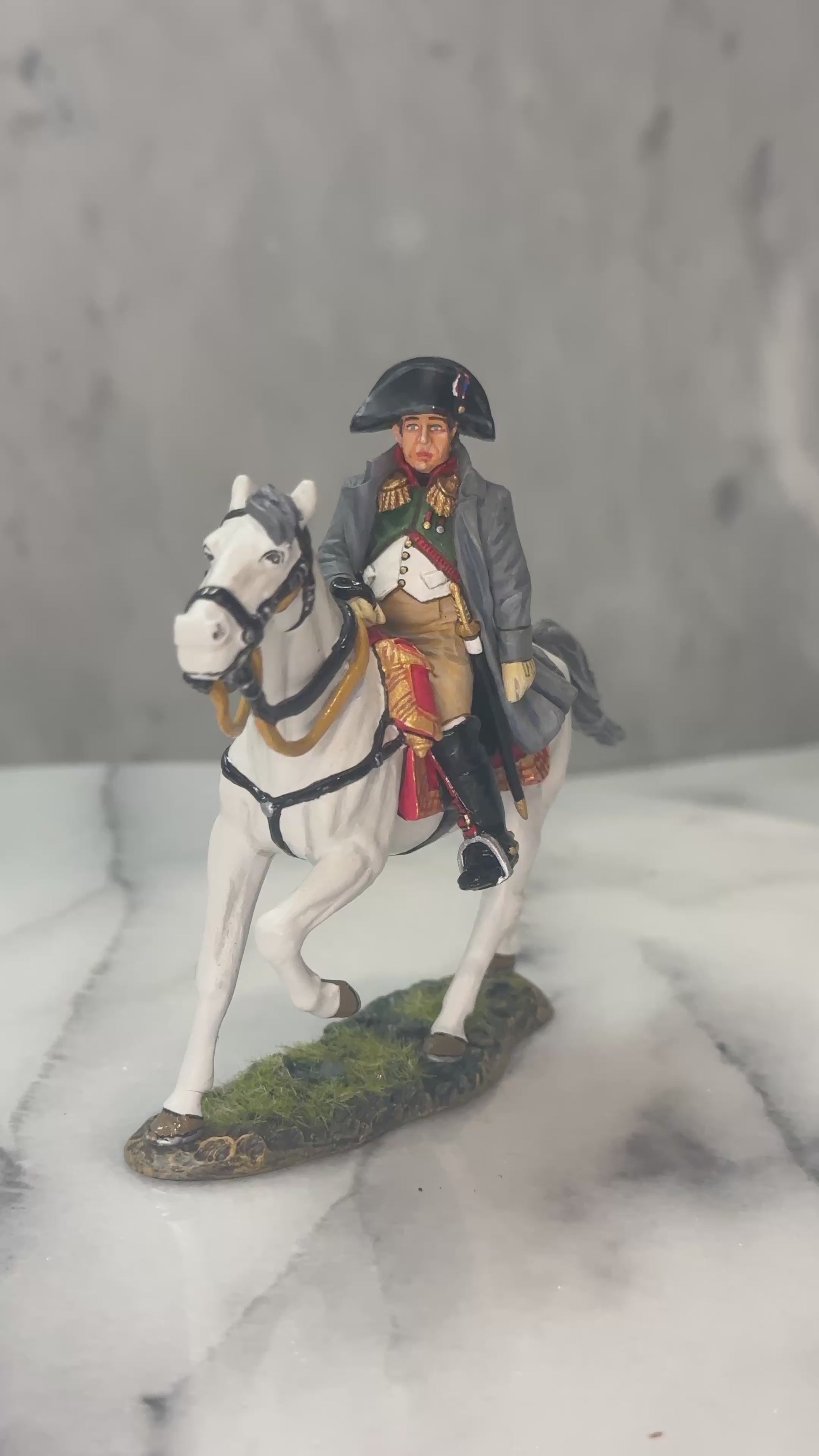 Napoleon Bonaparte 360 view.