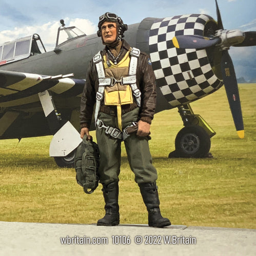 USAAF Fighter Pilot 1943-45