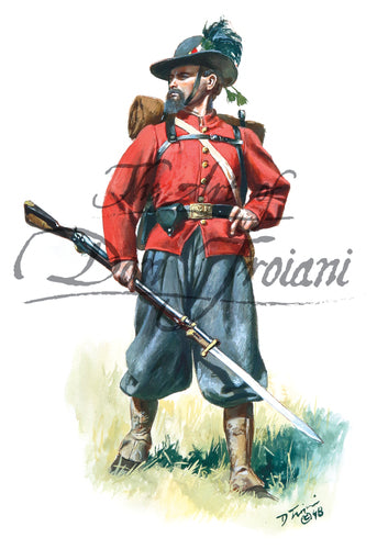 Don Troiani wall art print Garibaldi Legion of New Orleans 1861.