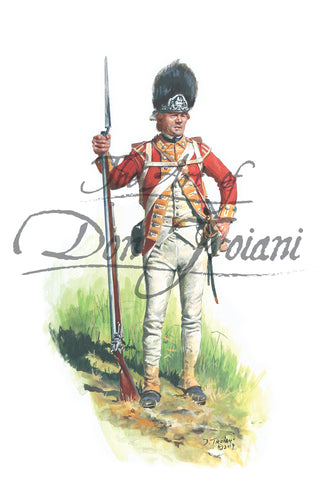 Don Troiani wall art print 35th Regiment of Foot Grenadier 1777.